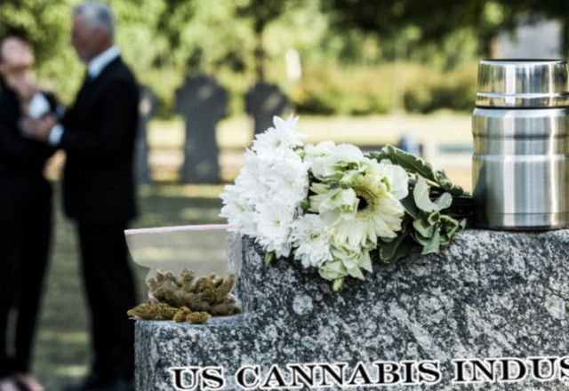 https://www.linkedin.com/pulse/marijuana-industry-dead-curt-dalton/