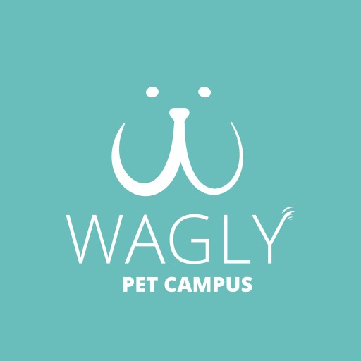 Wagly Continues to Grow and Hire Top Leadership