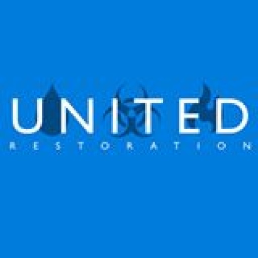 Get Mold Restoration in Boca Raton Service to Keep the Property Safe