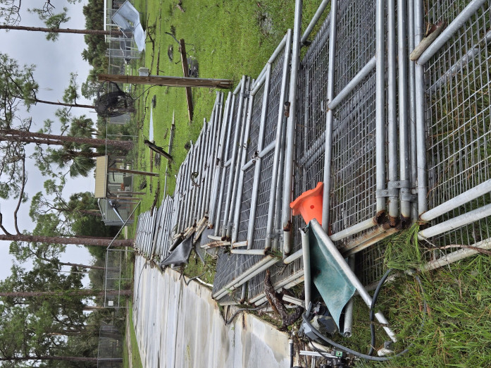 Tornado Destroys Animal Rescue