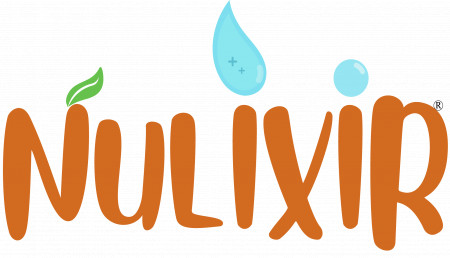 Nulixir Logo