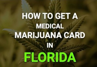 How to get approved for a Florida Marijuana Card