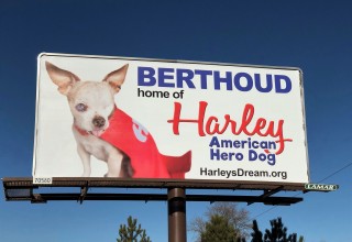 Harley's Berthoud Billboard 