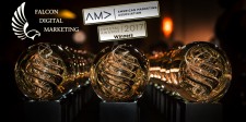 Falcon Digital Marketing Wins 2017 AMA Crystal Awards