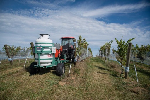 Barrel Oak Winery Eliminated Miticide and Powdery Mildew Treatments, Increased Yield 30 Percent