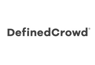 DefinedCrowd Logo grey