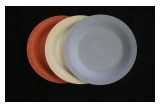 Red, White and Blue Chamness Biodegradables Plates