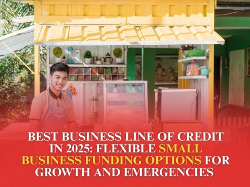 Best Business Line of Credit in 2025: Flexible Small Business Funding Options for Growth and Emergencies