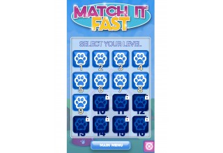 Match It Fast levels 