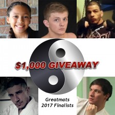 2017 Contest Finalists