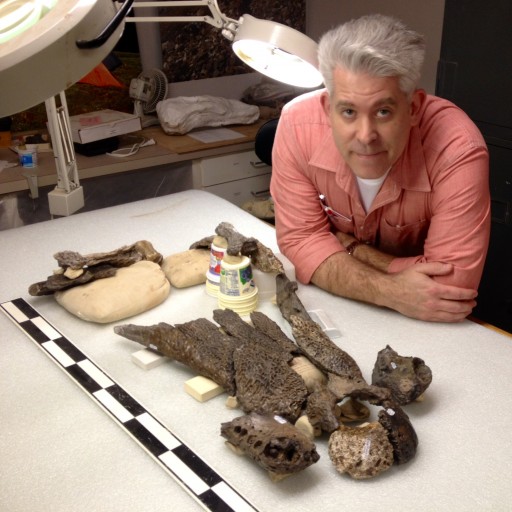 Witte Museum Paleontologist Names New Species of Fossil Crocodile