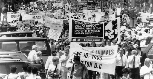 U.S. Animal Rights Movement Celebrates Golden Anniversary