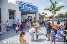 4th Annual Subaru of Pembroke Pines "Dog Appreciation Pawty" 