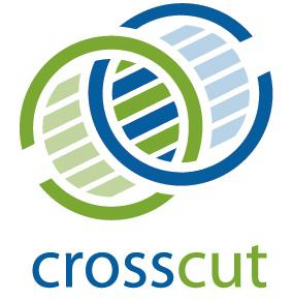CrossCut Partners LLC