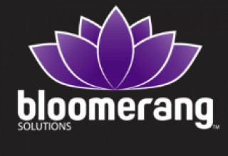 Bloomerang Solutions