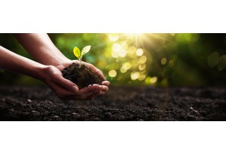 Organic Growth