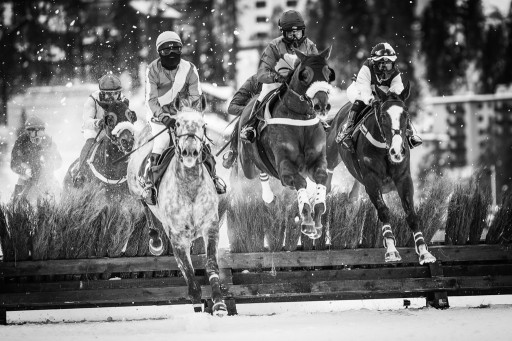 White Turf horse race