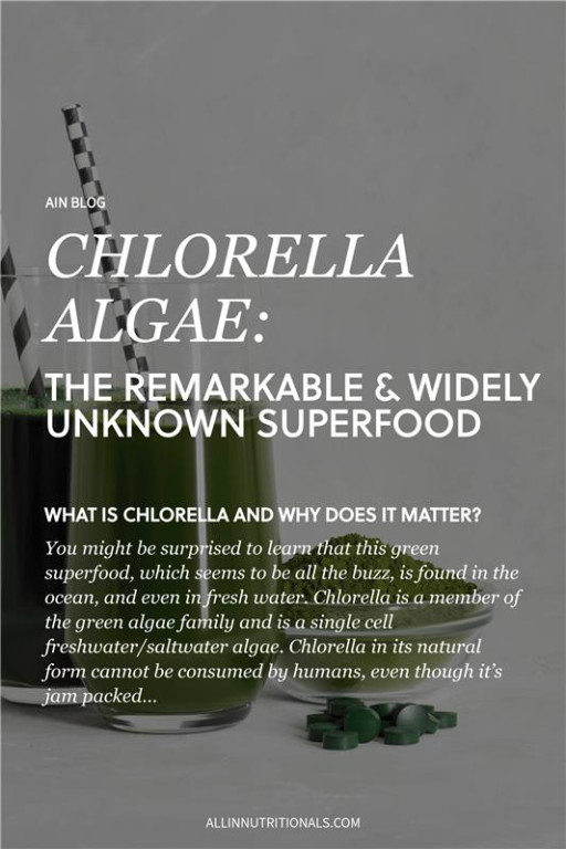 CHLORELLA ALGAE: THE REMARKABLE & WIDELY UNKNOWN SUPERFOOD Chlorella 101- Let’s Break Down this Aquatic Superfood