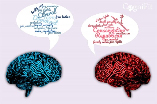Left Wing or Right Wing: What Cognitive Qualities to Look for in a Policymaker?