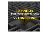 US Dollar & Long Bond Update