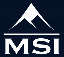 MSI Logo