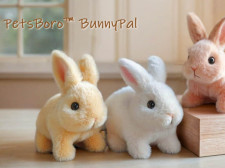 PetsBoro BunnyPal Named Top Bunny Toy of 2025