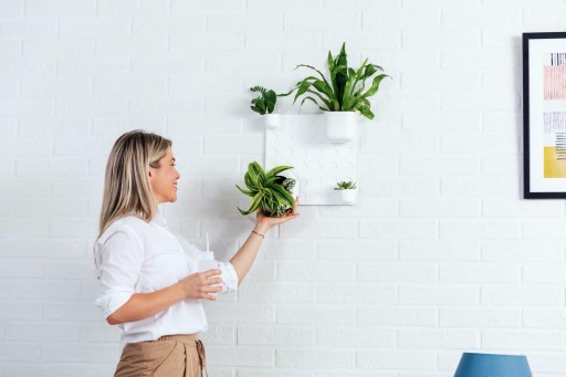 Innova Technologies is Launching a Wall Organiser and a Vertical Garden