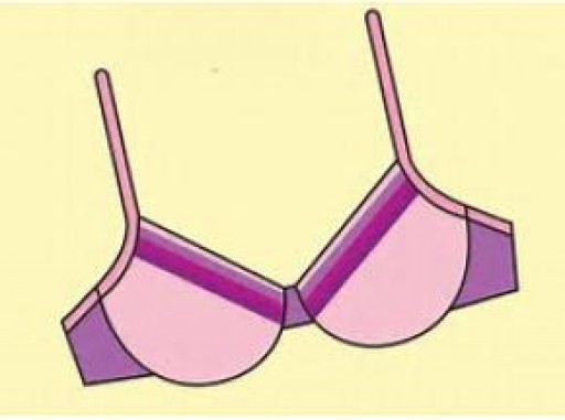QYResearch: Global Bra Industry Market Research Report 2017