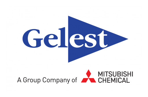 Gelest Inc. Announces Executive Management Changes
