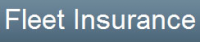 Fleet Insurance Info