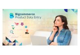 Bigcommerce data entry
