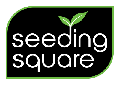 Seeding Square