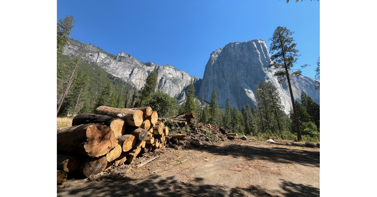 Yosemite Fuels Launches Carbon-Negative Hydrogen to Revolutionize California’s Clean Energy Sector