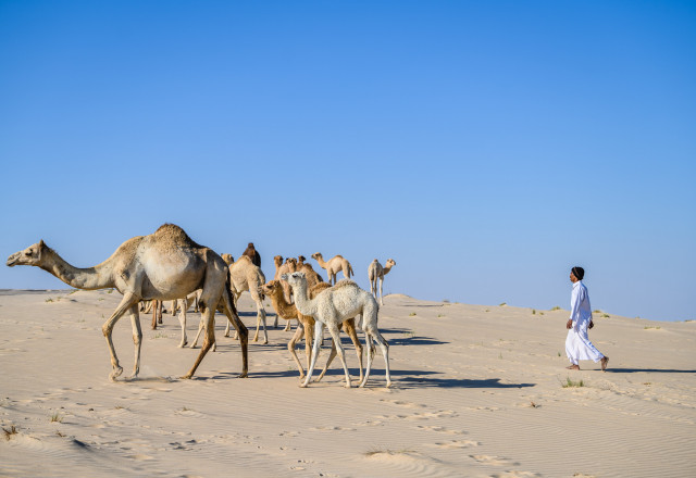 Qatar National Tourism Council