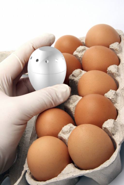 Revolutionize Egg Monitoring With EggTemp and EggTemp-RH Data Loggers