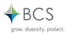BCS Financial Logo