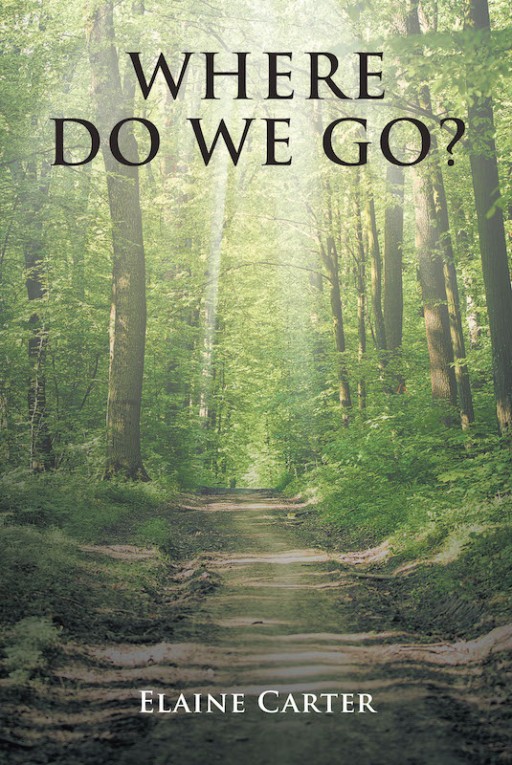 Elaine Carter's New Book 'Where Do We Go?' Unravels a Thrilling Pursuit for a Brighter and Better Future