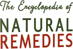 Ancient Biblical Remedies