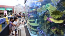 Aquarium created by Innovative Acrylics