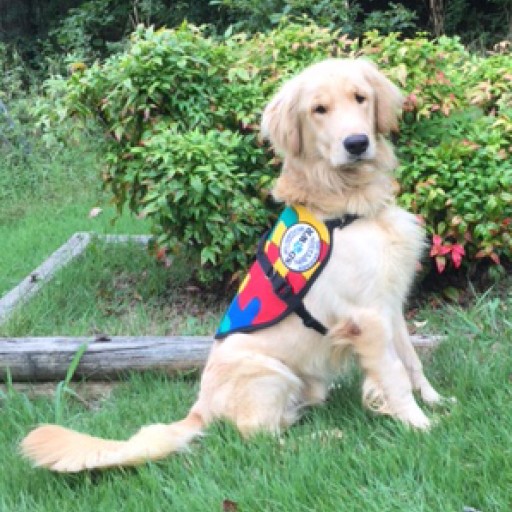 Trained Autism Service Dog to Help Eight-Year-Old Cope With Disability