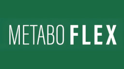 Metabo Flex