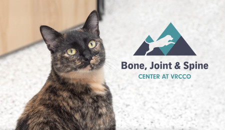 Moira's Total Hip Replacement Surgery
