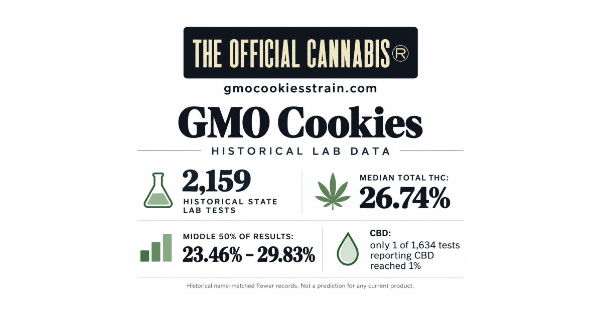 GMO Cookies Strain Guide Clarifies Potency, Genetics and Competing Name Origins