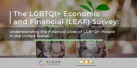 LGBTQI+ Economic & Financial Survey Cover Image