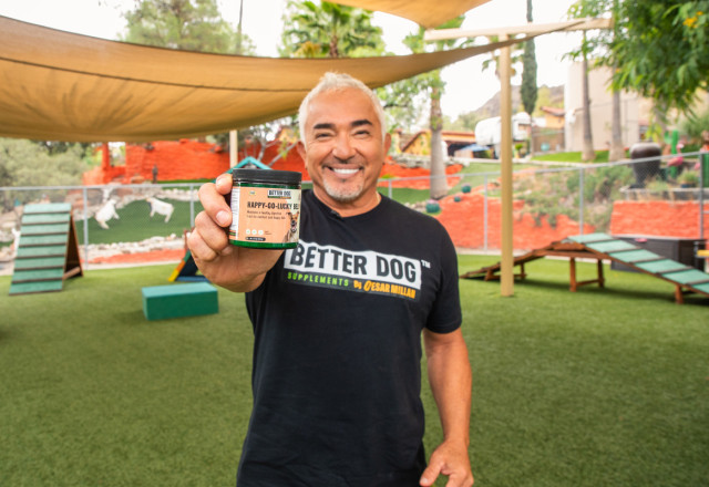 Cesar Millan showcasing the Happy-Go-Lucky Belly formula at his Dog Psychology Center