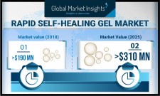 Rapid Self-Healing Gel Market