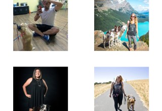2017 Greatmats National Dog Trainer of the Year Nominees