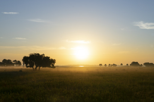 Florida's Wildlife Corridor Is Turning Five! Live Wildly Celebrates with a New Interactive Map Showing How Greater Conservation Inside the Corridor Can Bring Billions in Benefits