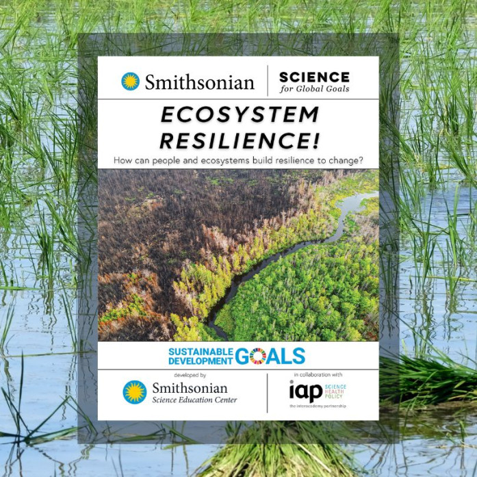 Ecosystem Resilience! Guide