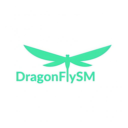 DragonFlySM: Simplifying Workflow for Every Professional